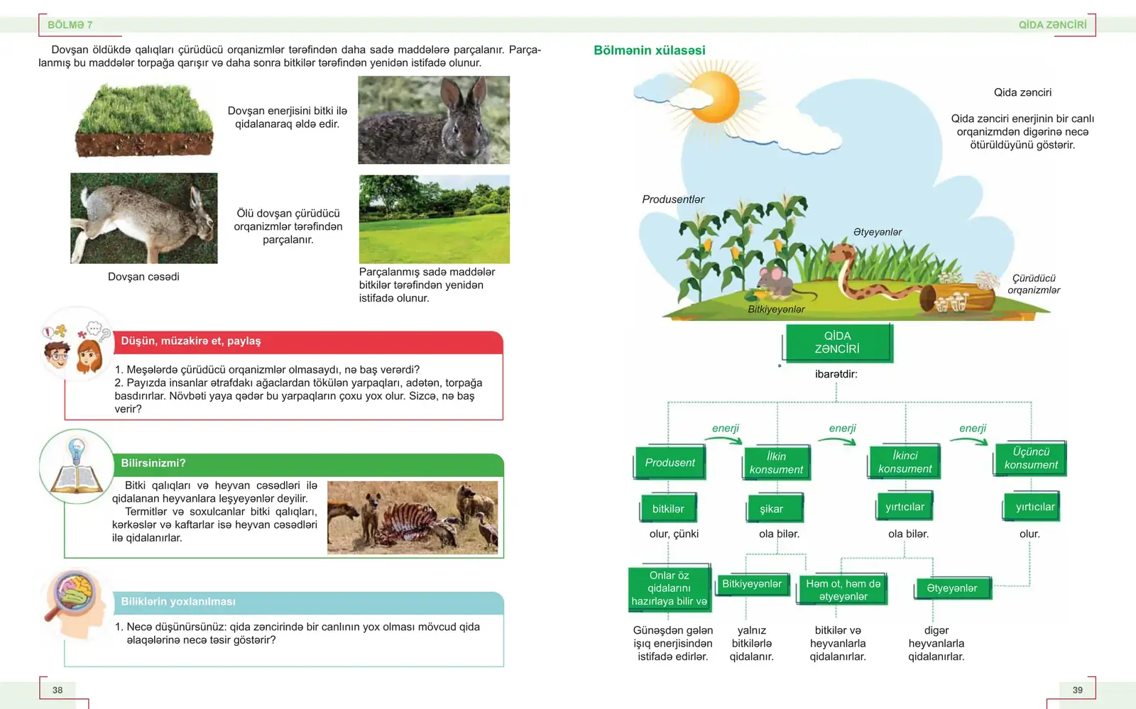Təbiət 5 spread: section summary with a food-chain diagram